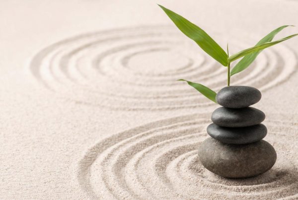 zen garden with plant