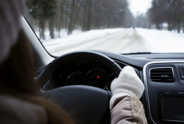 view from inside a car of aperson driving through snow wearing gloves and coat